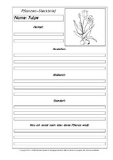 Pflanzensteckbriefvorlage-Tulpe-SW.pdf
